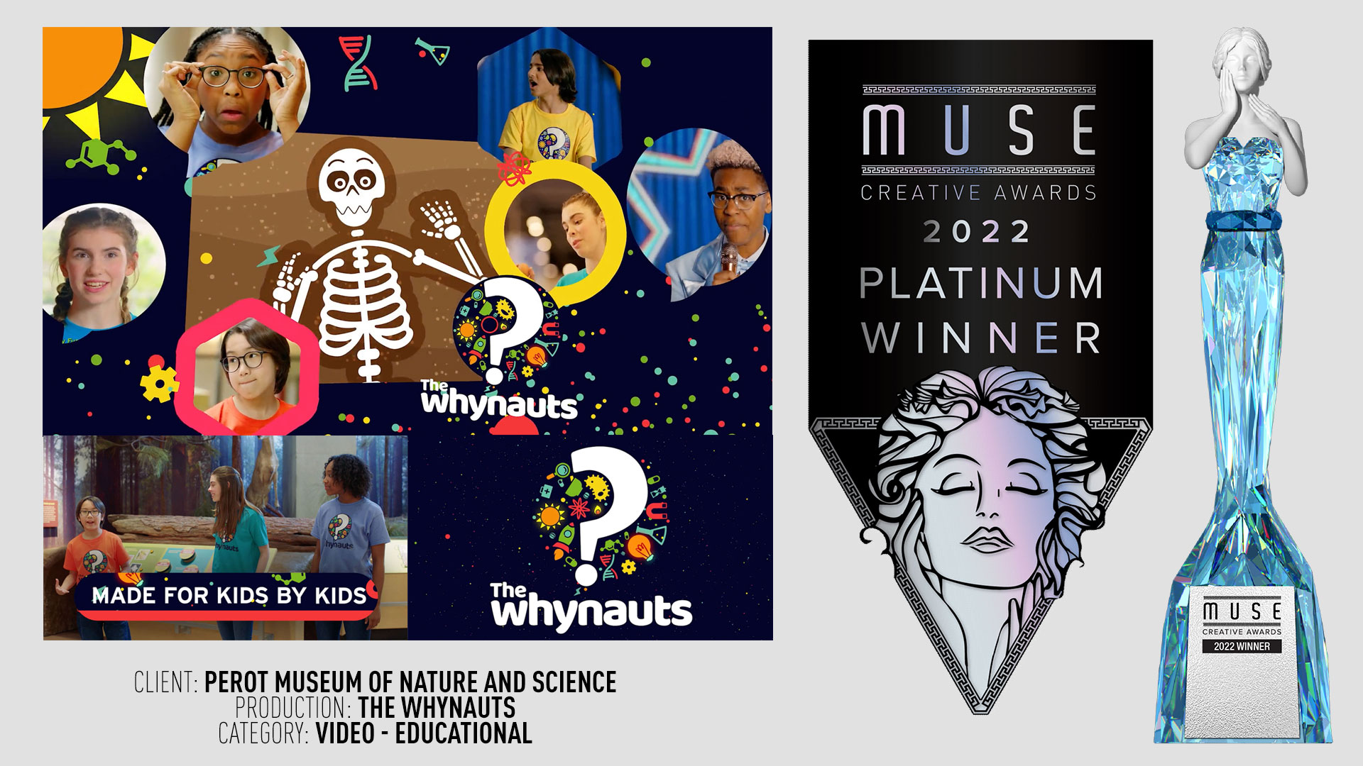 Muse Creative Awards Platinum